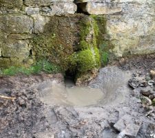 Petit bassin réceptionnant l?eau d?une source