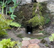 Plantation autour de la source naturelle