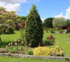 Que serait le coeur du jardin sans son massif où trône le dodu laurier-sauce !