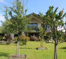 "C'est les vacances". A droite, le lagerstroemia du Sud papote avé l'aubépine savoyarde ... Ils découvrent leur location Airbnb dans la verdure.