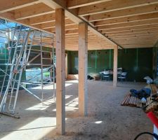 RDC depuis l'entrée (sans les murs)