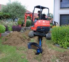 Un peu inquiète pour les plantations et les voliges, je surveille du coin de l'oeil les grosses chenilles