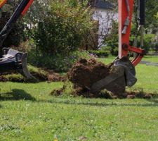 Partie arrière : de la très bonne terre, entièrement végétale.