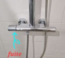 Bonjour, 
Je viens vers vous pour avoir de l'aide plomberie. 
Problème...
J'ai  une colonne de douche de la marque, Jacob Delafon ODEON UP.
La fuite ce trouve au niveau du mélangeur thermostatique, là où ont allume l'eau. 
Le truc c'est qu'il n'y a aucune vis et pas de capuchon pour accéder à une éventuelle vis.
J'ai aussi regardé sur internet pour voir si j'arrivais a avoir la fiche technique, et comme le montre dans une fiche technique il a une image ou ont voit une flèche pour tiré, mais je n'arrive pas. Pas envie de rajouter de la casse.
Avez vous ou savez vous comment démonter s'il vous plaît ?
Merci infiniment 
Pedro