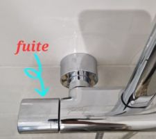 Bonjour, 
Je viens vers vous pour avoir de l'aide plomberie. 
Problème...
J'ai  une colonne de douche de la marque, Jacob Delafon ODEON UP.
La fuite ce trouve au niveau du mélangeur thermostatique, là où ont allume l'eau. 
Le truc c'est qu'il n'y a aucune vis et pas de capuchon pour accéder à une éventuelle vis.
J'ai aussi regardé sur internet pour voir si j'arrivais a avoir la fiche technique, et comme le montre dans une fiche technique il a une image ou ont voit une flèche pour tiré, mais je n'arrive pas. Pas envie de rajouter de la casse.
Avez vous ou savez vous comment démonter s'il vous plaît ?
Merci infiniment 
Pedro