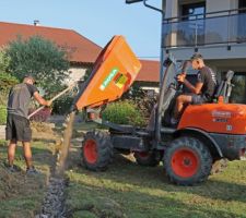 La brouette à moteur (dumper) n'est pas de trop pour éradiquer les taupes !  Bouchons leurs tranchées avec du gros concassé !