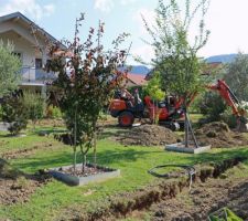 Tas de terre, jeunes arbres surpris, herbe encore verte, engins pétaradants, et plus une taupe en vue !