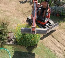 Ne pas oublier de lever le godet par-dessus les plantes (elles ne sont pas trop décapitées, juste un peu)