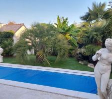 VUE ENSEMBLE DU JARDIN AVEC LA VEGETATION LUXURIANTE EN FIN ÉTÉ