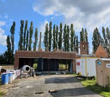 Chien assis fa&ccedil;ade avant