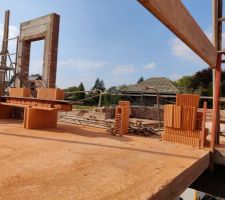 Chien assis fa&ccedil;ade avant de l'int&eacute;rieur