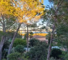 28 septembre 2024 19h