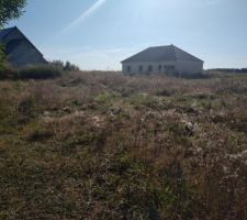 Débroussaillage du terrain