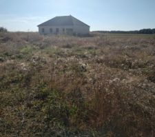 Débroussaillage du terrain