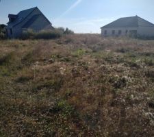 Débroussaillage du terrain