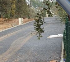 Notre terrain viabilisation presque termin&eacute;