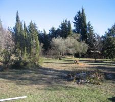 Vue du haut du terrain