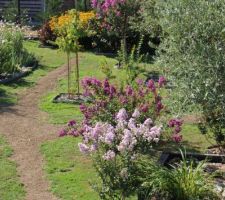 Les 2 cousins : Albert, le lager mauve pâle (très pâle, un citadin) rend visite à Violette la campagnarde