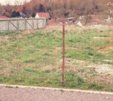 Etat du terrain quelques jours avant l'achat