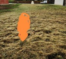 Terrain fraichement d&eacute;broussaill&eacute; pour le jour J de la vente