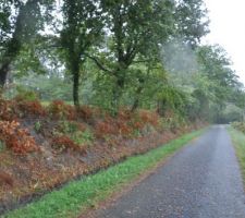 Vue de la route, chemin  d'acces au terrain &agrave; r&eacute;aliser