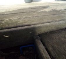 Plancher effondré avec une différence de niveau : risque de chute ++++