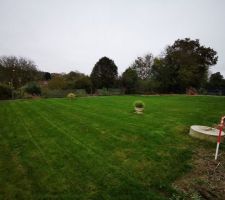 7 11 2024 Pelouse apr&egrave;s 4 mois de pousse