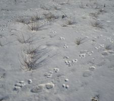 Notre terrain !
Oncy-sur-Ecole. Commune adhérente au Parc naturel régional du Gâtinais français.
Forêt de Fontainebleau à côté !!