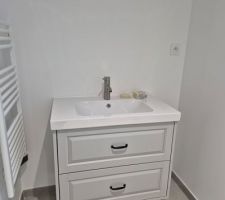 Le simple vasque de la salle de bain