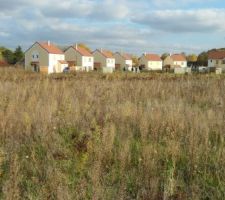 Voici notre terrain 
visitez les sites:
http://www.parc-gatinais-francais.fr/
http://www.milly-la-foret.fr/