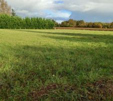 Terrain en projet d'acquisition