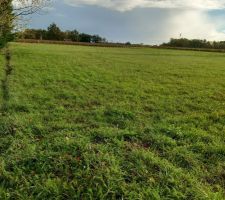 Terrain en projet d'acquisition