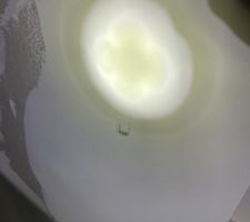 Comment trouver une description à ces photos ... Je n'ai pas de mot