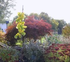 Grisaille d'octobre, avant plusieurs jours de brouillard &eacute;pais, fin octobre-d&eacute;but novembre