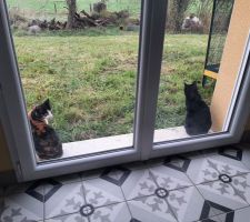 Les gardiennes du jardin sont à l'affût.