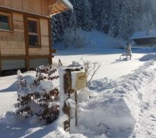 Grosse neige à la Bistorte