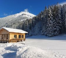 Grosse neige à la Bistorte