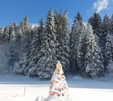 Grosse neige à la Bistorte