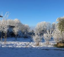 31 décembre au jardin, Bonne Année à tous !