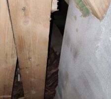 Petit manque d'isolant sur le chien assis