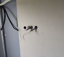 Cloison de séparation avec le voisin