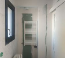 Suite parentale R0 (salle de bain)