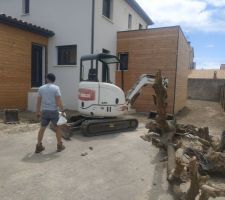 Un coup de bull et ca repart