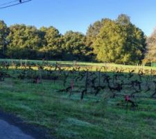 Vue initiale, les vignes ont disparu depuis.