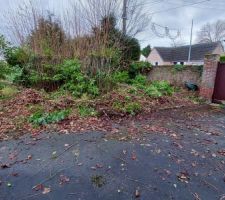 Coupe des vegetaux, en vue du terrassement maison et tranch&eacute;es &eacute;lectrique, eau, internet, eaux us&eacute;es
