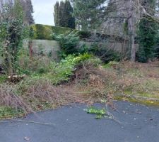 Coupe des vegetaux, en vue du terrassement maison et tranch&eacute;es &eacute;lectrique, eau, internet, eaux us&eacute;es