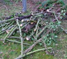 Coupe des vegetaux, en vue du terrassement maison et tranch&eacute;es &eacute;lectrique, eau, internet, eaux us&eacute;es
