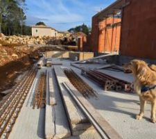&eacute;l&eacute;vation mur RDC bio brique, contr&ocirc;leur des tvx &agrave; 4 pattes.