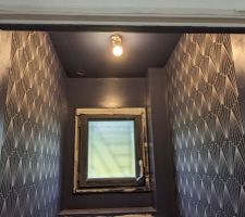 Peinture et tapisserie dans les WC : bleu abysse de Fmanat-Tollens et Tapisserie Graham & Brown