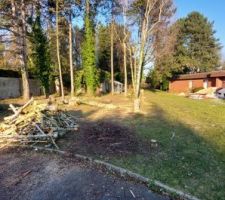 Début coupe des arbres.